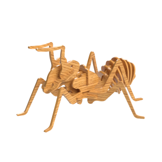 Ant Type 1