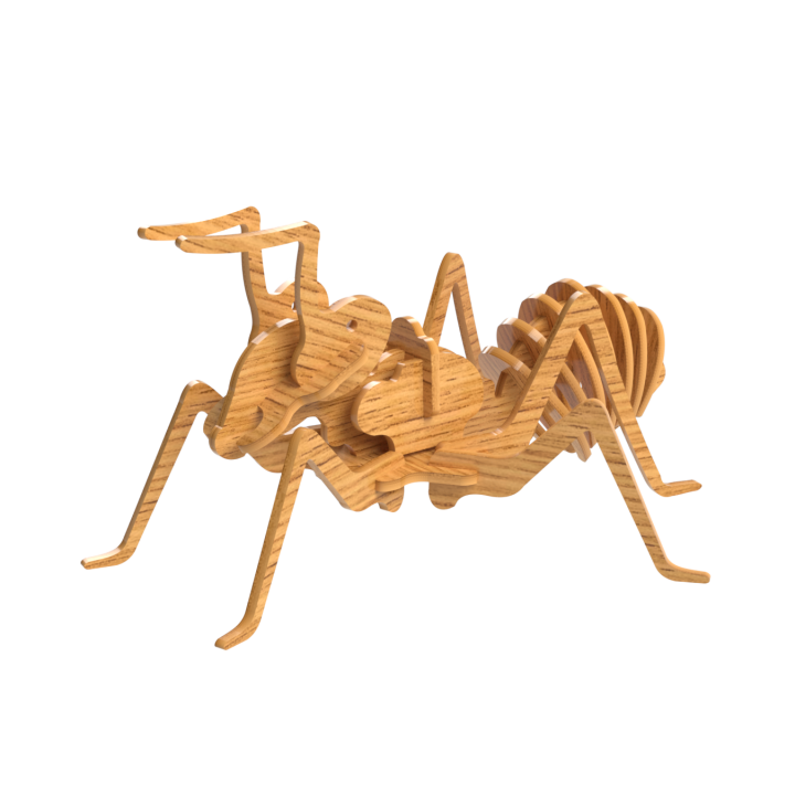 Ant Type 1