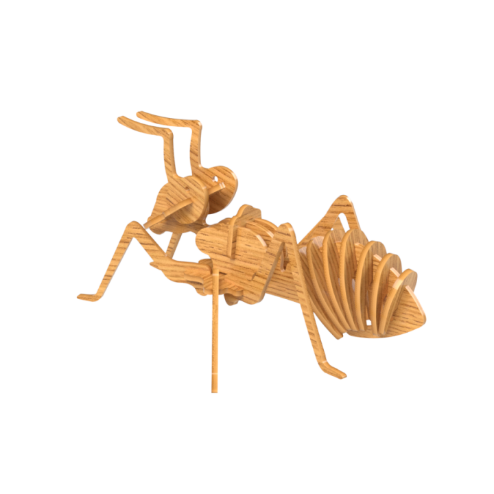Ant Type 1