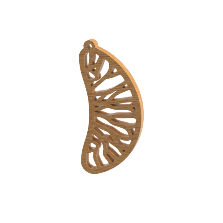 Jewelry Type 1