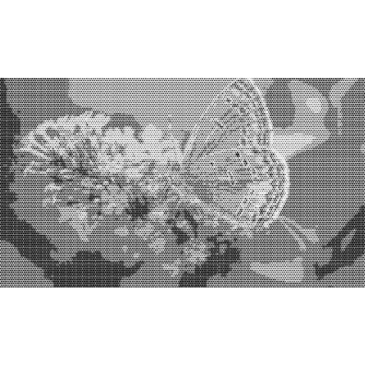 Photo Perforation Generator. Create unique laser cutting patterns. Quick, easy, and high-quality SVG.