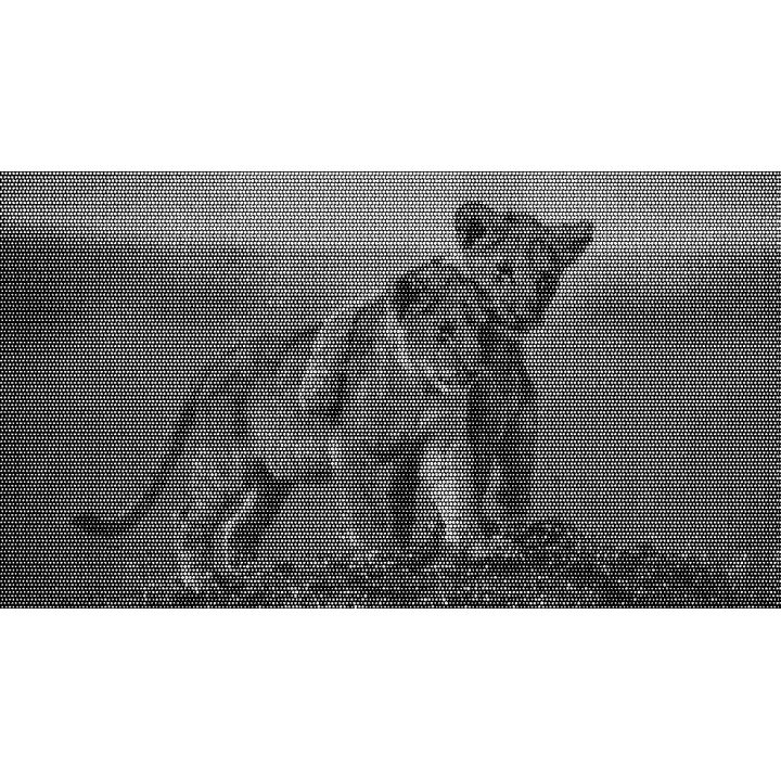 Generator Perforacji Zdjęć. Twórz unikalne wzory do cięcia laserem. Szybko, łatwo, w wysokiej jakości SVG.