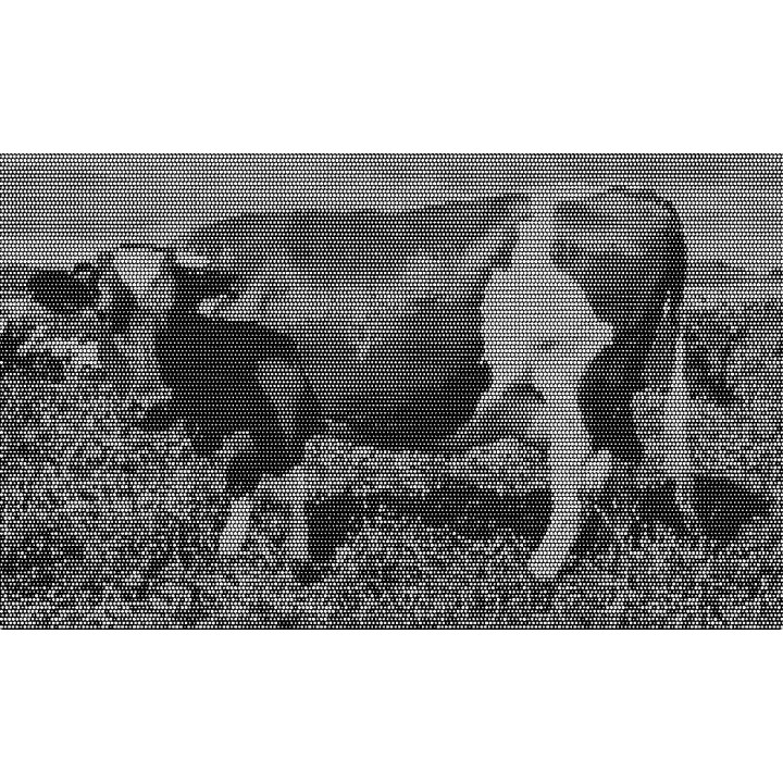 Generator Perforacji Zdjęć. Twórz unikalne wzory do cięcia laserem. Szybko, łatwo, w wysokiej jakości SVG.